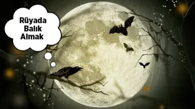 Rüyada Balık Almak Ne Anlama Gelir? İşte Detaylı Anlamı Uykuya dalındığında görülen rüyaların anlamı pek çok insanın merakını uyandırmaktadır.