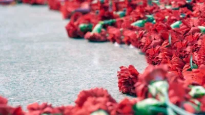 Rüya Tabirleri, Rüyada Karanfil Görmek Ne Anlama Gelir? İşte Detaylı Anlamı Rüyada karanfil görmek, iyi bir isim ve şöhret sahibi olunacağına