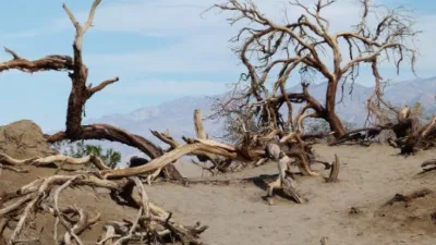 Rüya Tabirleri, Rüyada Mezarlıkta Uyumak Ne Anlama Gelir? İşte Detaylı Anlamı Rüyada mezarlıkta uyuduğunu görmek tedirginlik veren rüyalar arasındadır. Bu nedenle