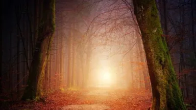 Rüya Tabirleri, Rüyada Kafatası Görmek Ne Anlama Gelir? İşte Detaylı Anlamı Rüyada kafatası görmek farklı bir rüyadır ve anlamı merak edilir.