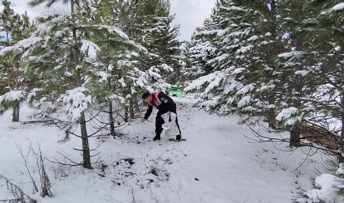 Yozgat Jandarma Ekiplerinden Yaban Hayatına Destek: Doğaya Yem Bırakma Çalışması