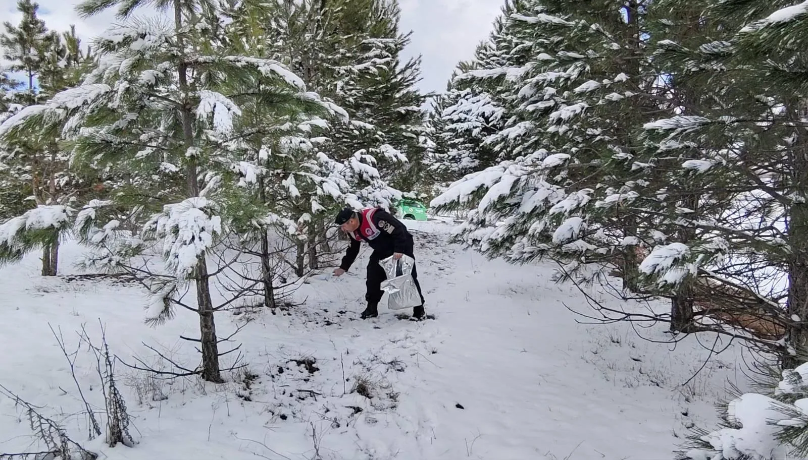 Yozgat Jandarma Ekiplerinden Yaban Hayatına Destek: Doğaya Yem Bırakma Çalışması
