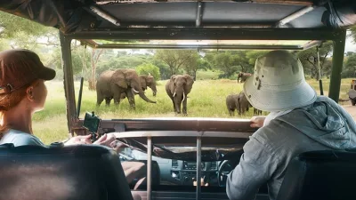 Ekranlarda izlerken hayran kaldığımız doğal yaşamı, kendi gözlerinle görmek ister