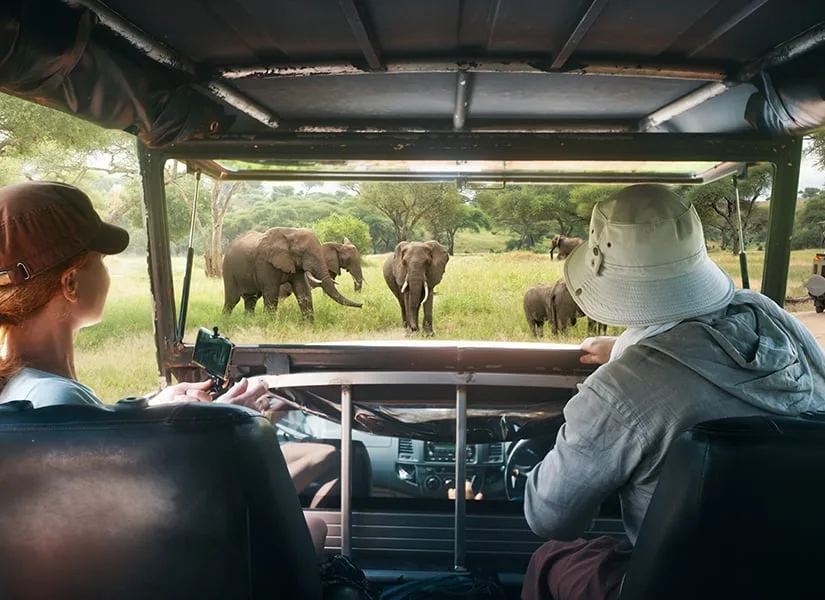 Ekranlarda izlerken hayran kaldığımız doğal yaşamı, kendi gözlerinle görmek ister