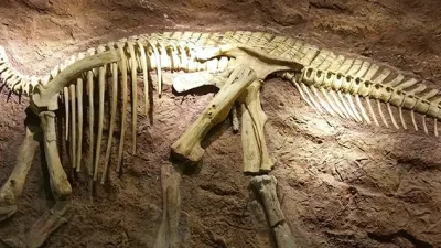 Dev kertenkeleler, 243 ile 233 milyon yıl önce Geç Triyas