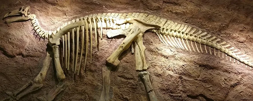 Dev kertenkeleler, 243 ile 233 milyon yıl önce Geç Triyas