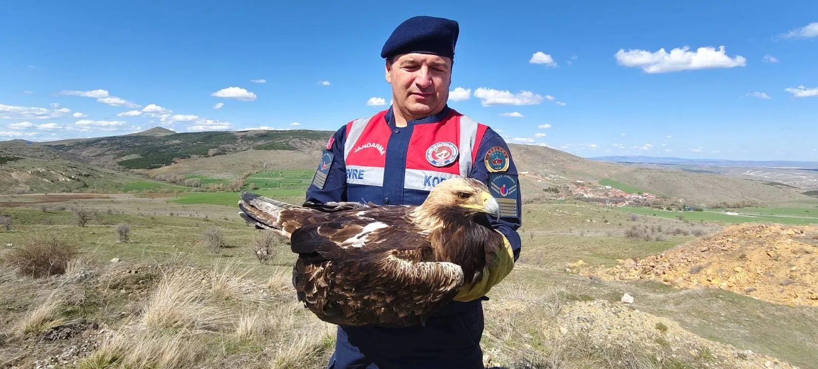 Yozgat-Sorgun’da Yaratıklara Yönelik Başarılı Operasyon: Yaralı Kaya Kartalı Kurtarıldı.