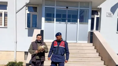 Yaralı Şahin, Jandarma Ekipleri Tarafından Kurtarılarak Milli Parklar Müdürlüğüne Teslim