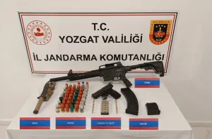 Jandarma ekiplerinin düzenlediği operasyonda, ormanlık alanda ruhsatsız silah ve mühimmat