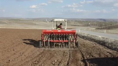 Yozgat’ta tescilli yerli yeşil mercimek tohumları toprakla buluştu. Bozok, Karagül,