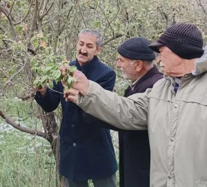 Yozgat’ta Nisan ayında etkili olan don, kar ve dolu üreticiyi