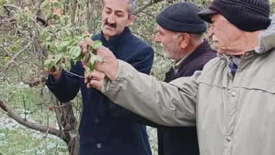 Yozgat’ta Nisan ayında etkili olan don, kar ve dolu üreticiyi