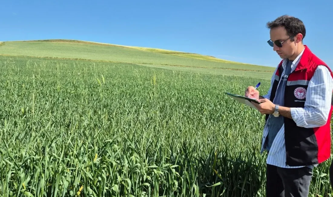 Yerköy İlçe Tarım ve Orman Müdürlüğü, tarımsal üretimin izlenmesi amacıyla