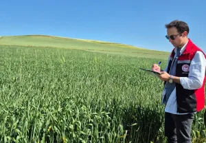 Yerköy İlçe Tarım ve Orman Müdürlüğü, tarımsal üretimin izlenmesi amacıyla