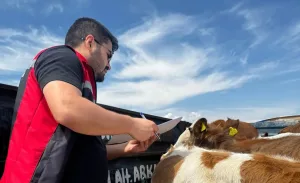 Yerköy İlçe Tarım ve Orman Müdürlüğü, Kurban Bayramı öncesi veteriner