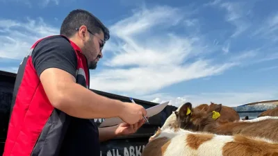 Yerköy İlçe Tarım ve Orman Müdürlüğü, Kurban Bayramı öncesi veteriner