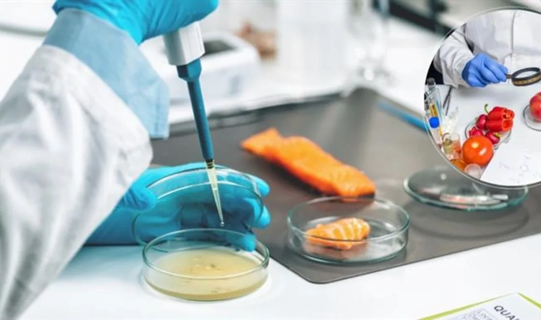 Yerköy İlçe Tarım ve Orman Müdürlüğü, Safe2Eat kampanyasıyla gıda kaynaklı