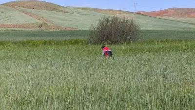 Yerköy İlçe Tarım ve Orman Müdürlüğü, 5996 sayılı Kanun kapsamında
