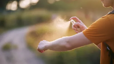 Dünyanın her köşesinde ve hemen hemen her koşulda yaşayabilen böcekler,