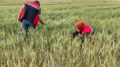 Yerköy’de etkili olan sağanak ve dolu yağışı sonrası İlçe Tarım