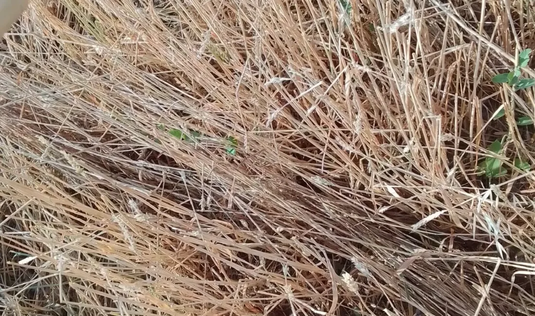 21 Haziran Cumartesi günü Yozgat genelinde etkili olan sağanak ve