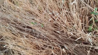 21 Haziran Cumartesi günü Yozgat genelinde etkili olan sağanak ve