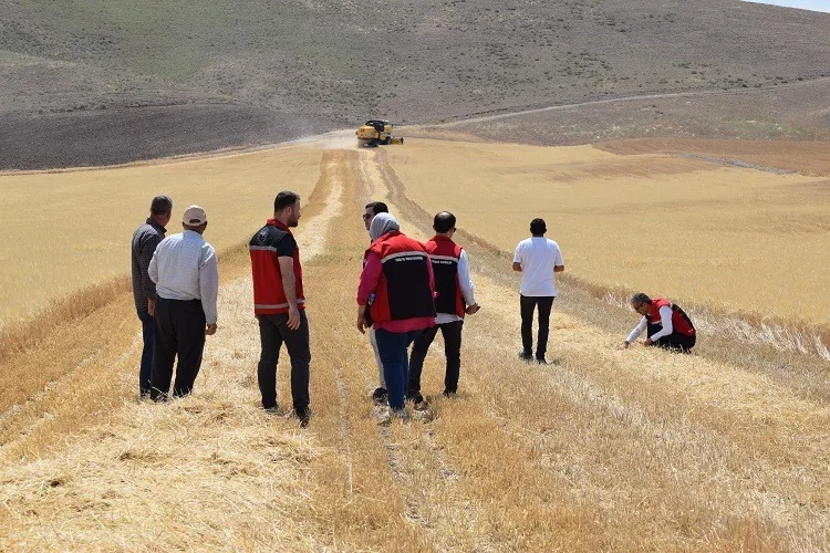 Yerköy ilçemize bağlı Kumluca köyünde gerçekleştirilen arpa hasadıyla Yozgat’ta 2025