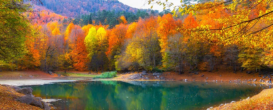 Sonbahar geldiğinde İstanbul’un yoğunluğundan biraz uzaklaşmak isteyenler için İstanbul’a yakın