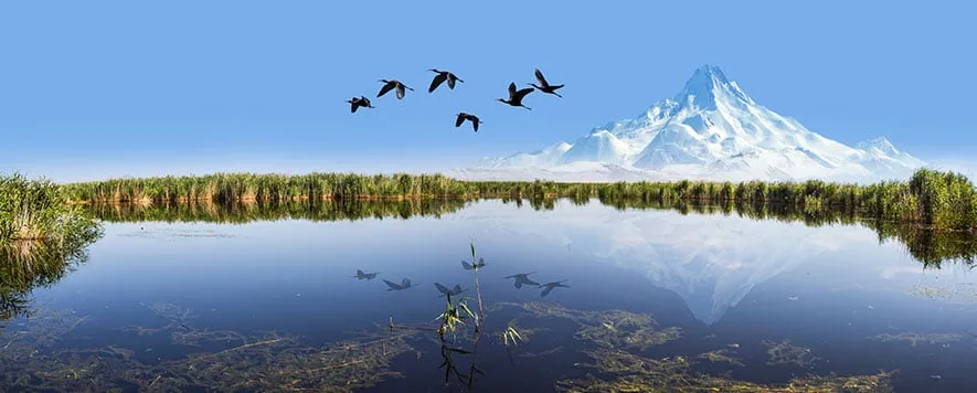 Kayseri, sadece enfes mantısı ve ünlü pastırması ile değil, aynı