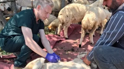 Yerköy Kaymakamlığı, sahipli hayvanların kuduz aşısı ve mikroçip ile kayıt