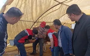 Yerköy İlçe Tarım ve Orman Müdürlüğü ve diğer yetkililer, kurban