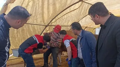 Yerköy İlçe Tarım ve Orman Müdürlüğü ve diğer yetkililer, kurban