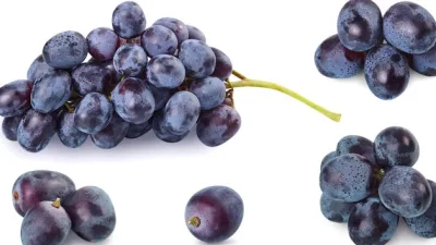 Siyah üzüm çekirdeği tozu, siyah üzümlerin çekirdeklerinin kurutulup öğütülmesiyle elde