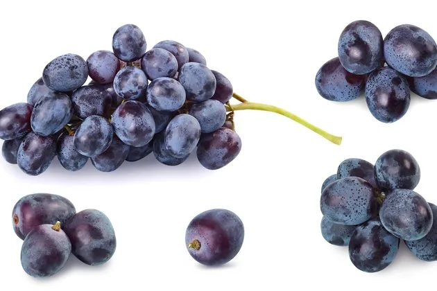 Siyah üzüm çekirdeği tozu, siyah üzümlerin çekirdeklerinin kurutulup öğütülmesiyle elde