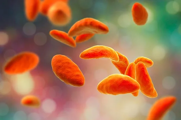 Toksoplazma, dünya genelinde yaygın olarak görülen ve Toxoplasma gondii adlı