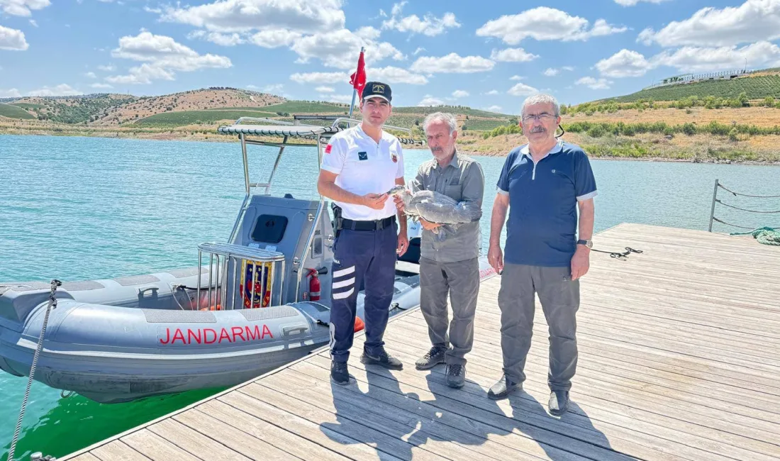 Süreyya Bey Barajı’nda yaralı halde bulunan gri balıkçıl kuş, jandarma