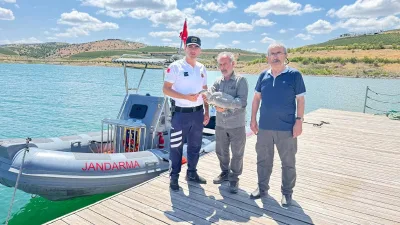 Süreyya Bey Barajı’nda yaralı halde bulunan gri balıkçıl kuş, jandarma