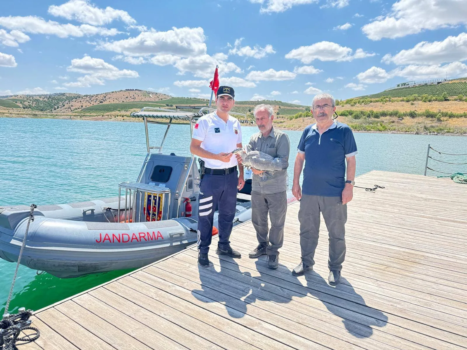 Süreyya Bey Barajı’nda yaralı halde bulunan gri balıkçıl kuş, jandarma