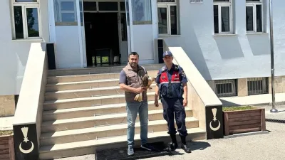 Yerköy ilçemizde devriye görevi yapan jandarma ekipleri, D-200 Karayolu üzerinde