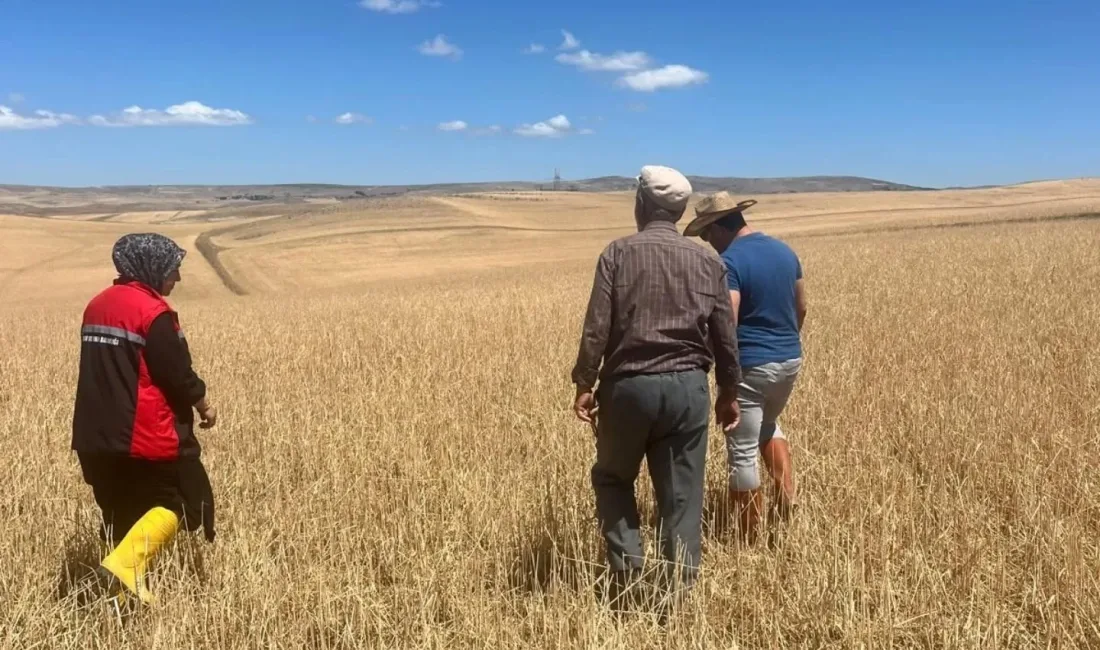 Yerköy İlçe Tarım ve Orman Müdürlüğü, 21 Haziran 2025 tarihinde
