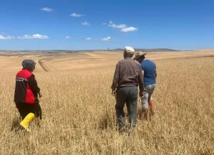 Yerköy İlçe Tarım ve Orman Müdürlüğü, 21 Haziran 2025 tarihinde