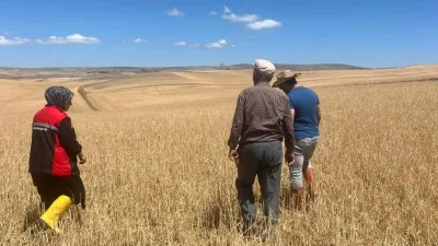 Yerköy İlçe Tarım ve Orman Müdürlüğü, 21 Haziran 2025 tarihinde