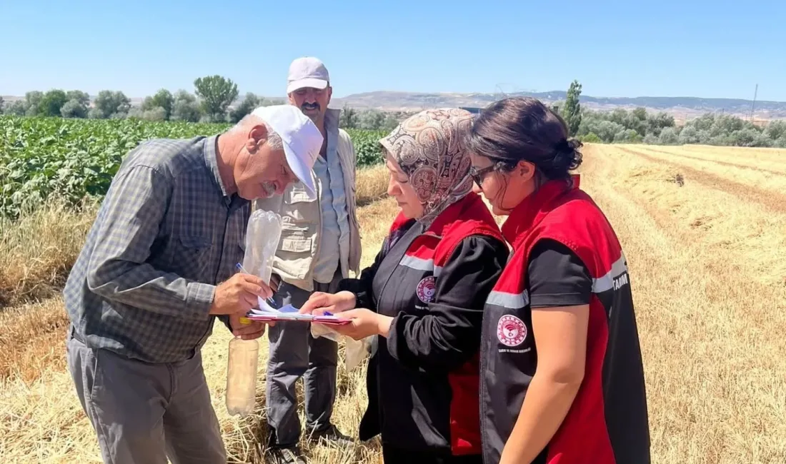 Yerköy İlçe Tarım ve Orman Müdürlüğü, hasat sezonuyla birlikte kırsalda