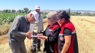 Yerköy İlçe Tarım ve Orman Müdürlüğü, hasat sezonuyla birlikte kırsalda