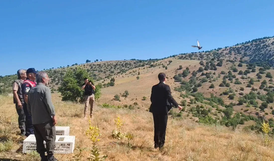 Yozgat’ın Aydıncık ilçesinde yer alan Kazankaya Kanyonu'na, doğanın korunması ve