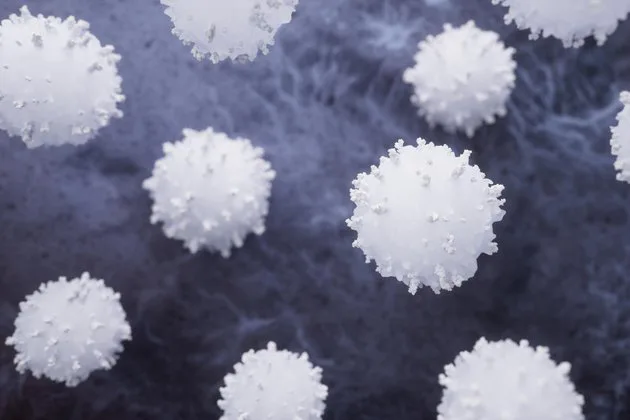 Bağışıklık sisteminin kritik savaşçıları olan nötrofiller (NEU), enfeksiyonlarla mücadelede ilk