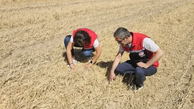 Yerköy İlçe Tarım ve Orman Müdürlüğü, 2025 hasat sezonu öncesi