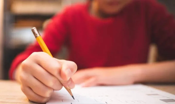 Akademik Personel ve Lisansüstü Eğitimi Giriş Sınavı (ALES) 2025/2 sonuçları