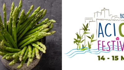 Bodrum Acı Ot Festivali: Bodrum’un Doğal Lezzetlerini Keşfedin Ege’nin turkuaz