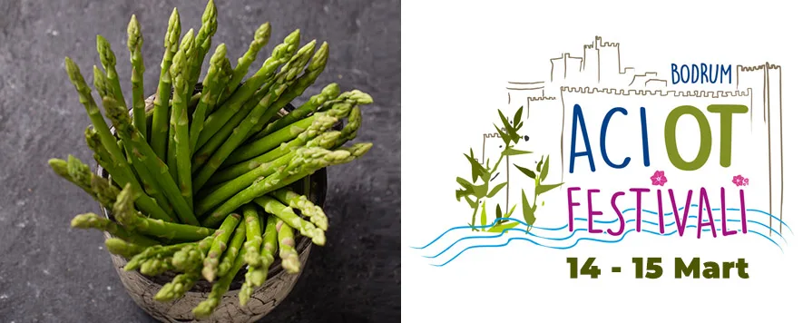 Bodrum Acı Ot Festivali: Bodrum’un Doğal Lezzetlerini Keşfedin Ege’nin turkuaz